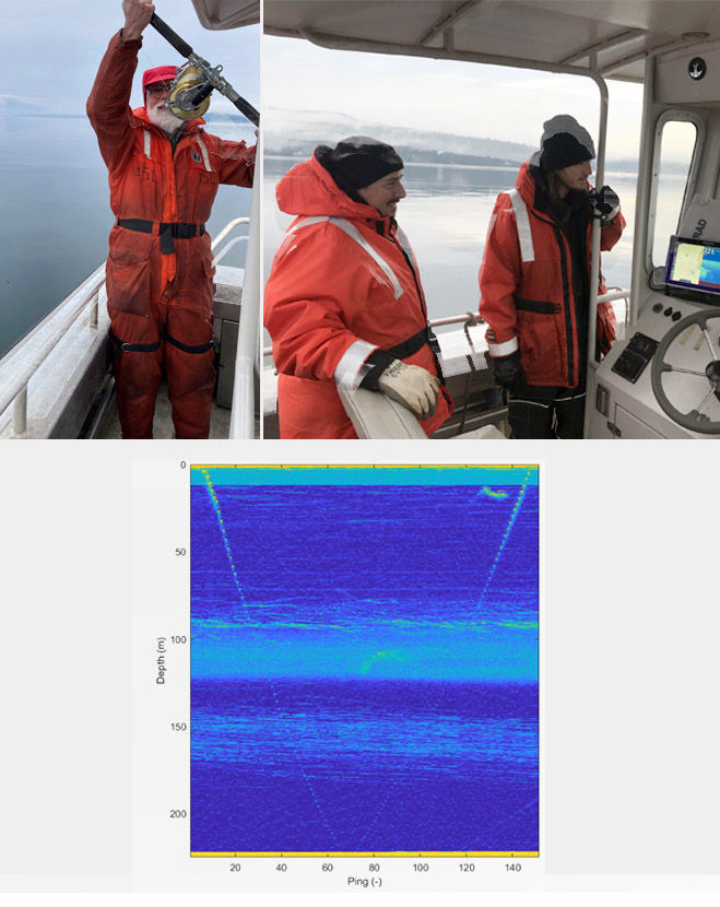 Split-beam sonar echogram